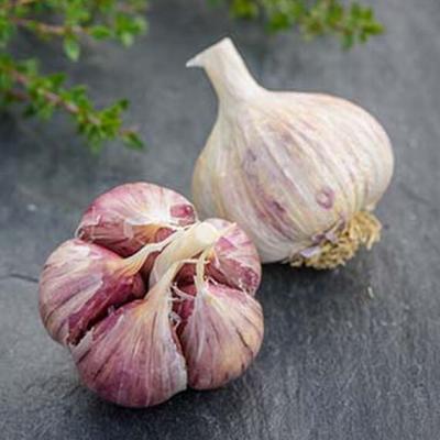 Garlic - Loose Bulbs Medium