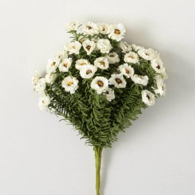 Daisy Bush White