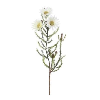 Blooming Kaaps Spray White 24"