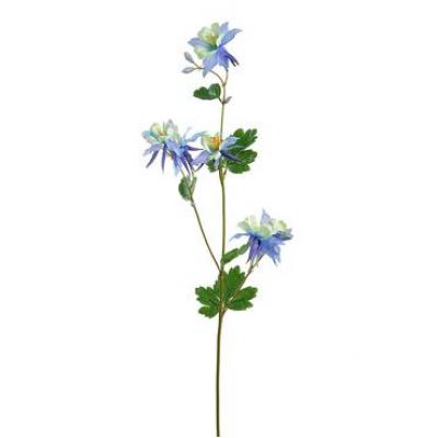 Spray - Columbine Blue 31"