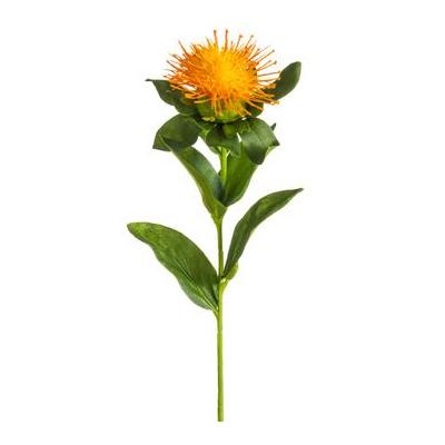 Pincushion Protea Spray Orange 10"