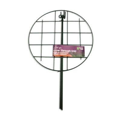 Link-Ups Grow Through Grid 12"