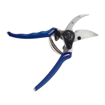 Pruner - Dramm ColorPoint Bypass Pro Blue