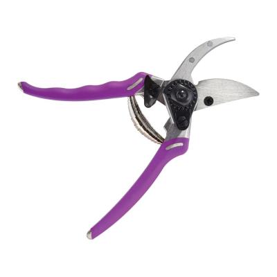 Pruner - Dramm ColorPoint Bypass Pro Berry