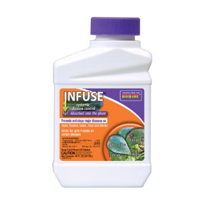 Infuse Systemic Fungicide Concentrate 16 oz