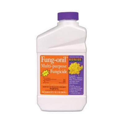 Bonide Fung-onil Concentrate 1 pt