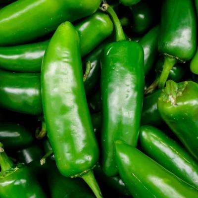 Pepper 'Jalapeno' 6 pak