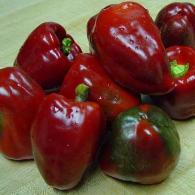 Pepper 'California Wonder' 6 pak