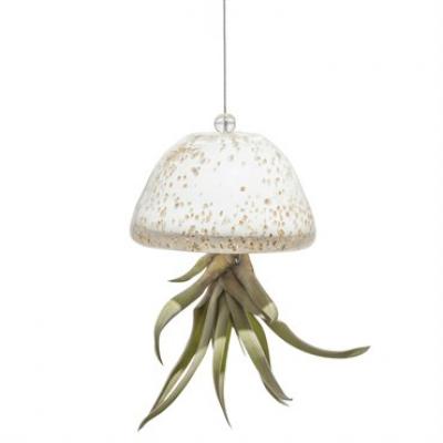 AM Jellyfish Airplant Holder White / Gold 3.5" x 2.5"