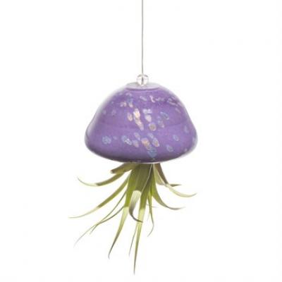 AM Jellyfish Airplant Holder Purple