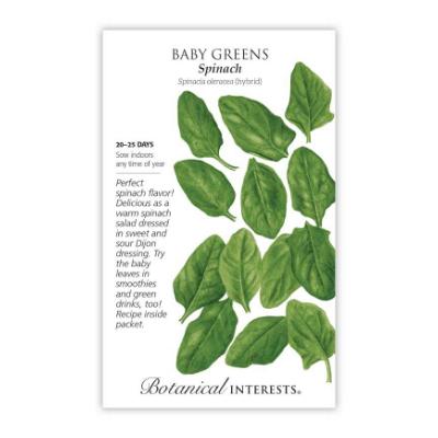 Seeds - BI Baby Greens Spinach Large Packet