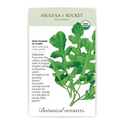 Seeds - BI Arugula Rocket Org Large Packet