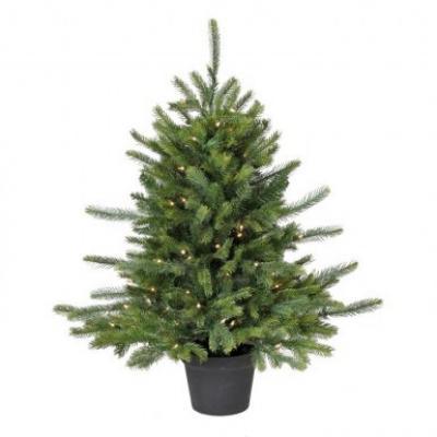 Tree - Telluride Fir 100 Light Clear Brite 3'