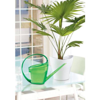 Watering Can - Loop Green