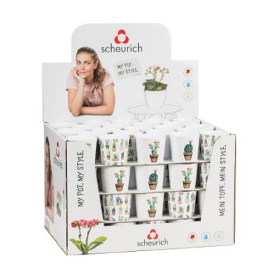 Planter - Cactus Garden 2.75"