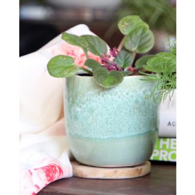 Planter - Jewel Tea Cup Crystal Green 4"