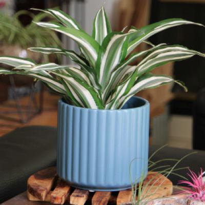An image of Planter - Brushcomb Denim 8" x 8"